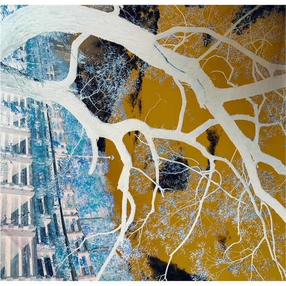 Artist prints Diana Cline - Picture 12 of 16